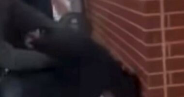 LI Dems erupt after ICE agent uses handcuffed manâs head as 'battering ram' against brick wall